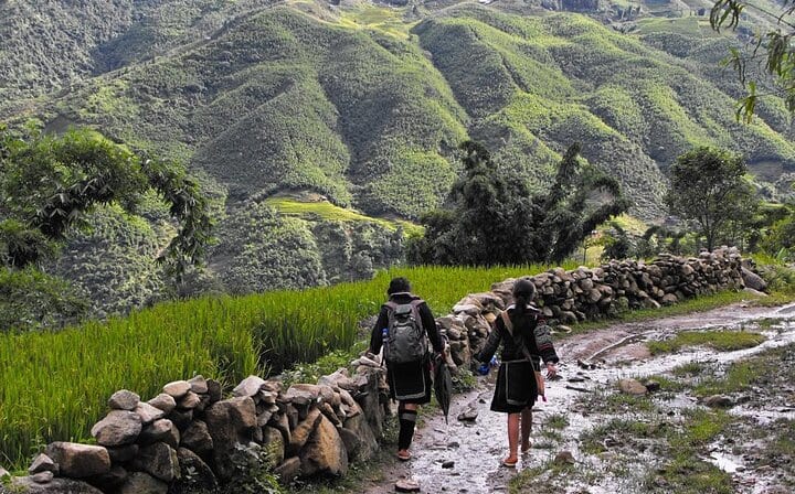 Hanoi Halong Bay Ninh Binh Sapa Package Tour 6 Days 6 Nights