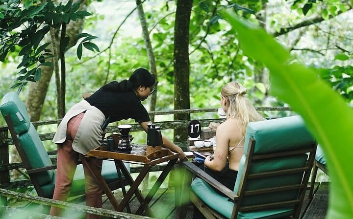 Coffee Plantation Visit