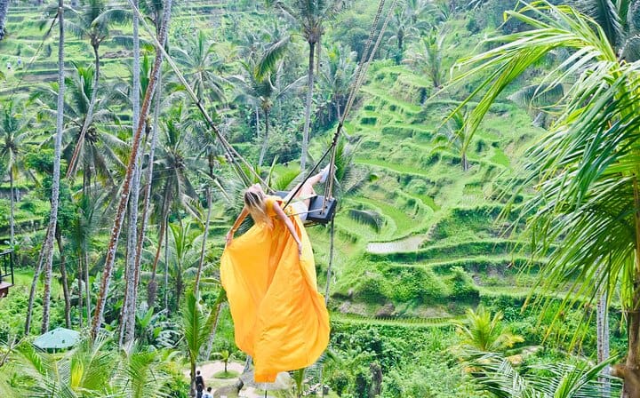 Rice terrace beautifull swing activity