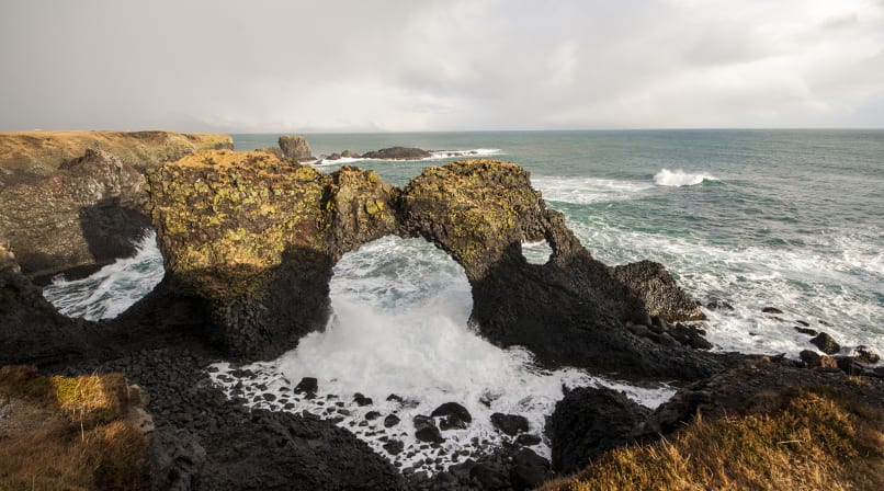 Petrified elephant drinking water at Arnarstapi coast