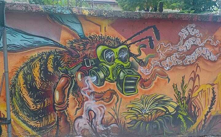 Sofia graffity-the old city center
