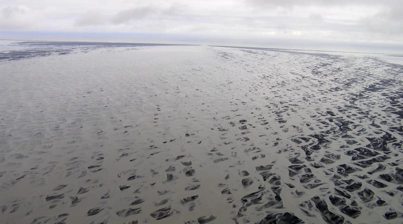patterns of the river deltas