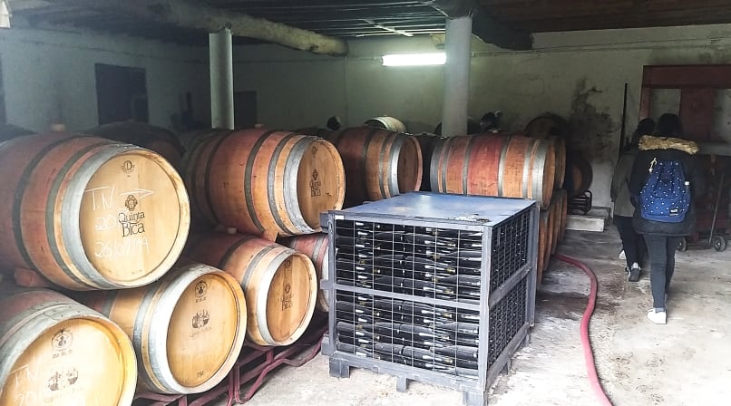 Serra_da_Estrela_Quinta_da_Bica