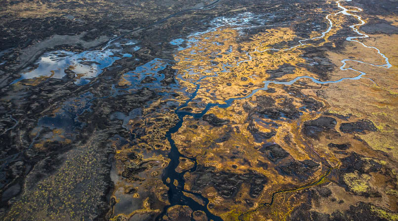 patterns of the river deltas