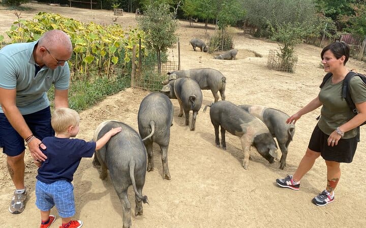 Children with the Cinta Senese