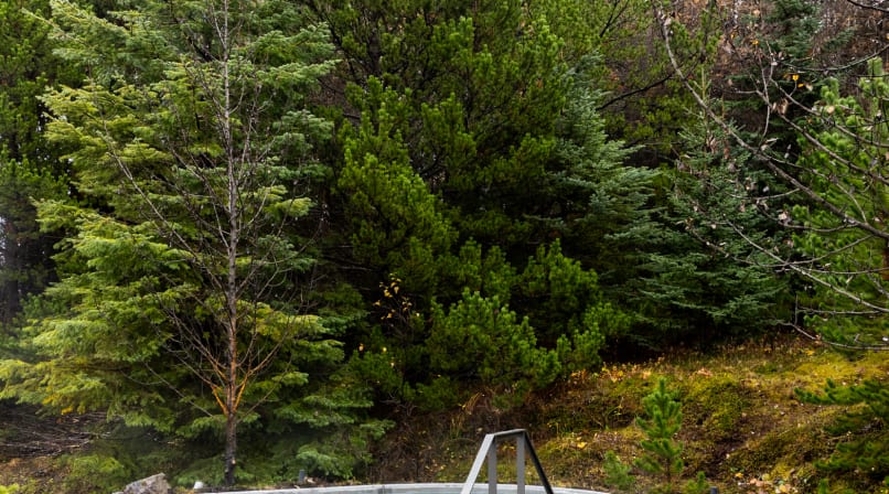 Cold plunge in Laugarás