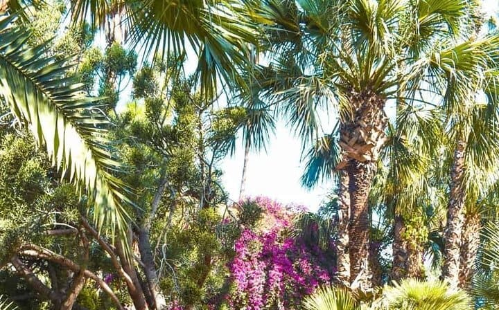 Majorelle Gardens - Marrakesh
