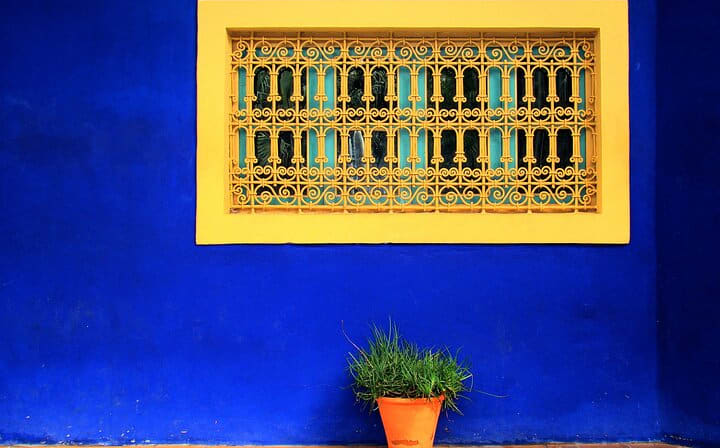 Majorelle Gardens - Marrakesh