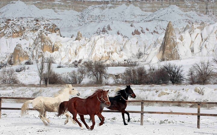 Horse Safari on Cappadocia