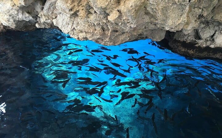 The Caves of Paleokastritsa