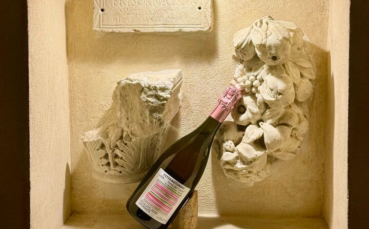 Rome Wine Tasting with Food Paring in Trastevere I VIP Experience