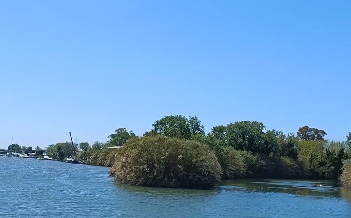 Exclusive Ancient Ostia Boat River Cruise, Guided Tour, and Tickets From To Rome.