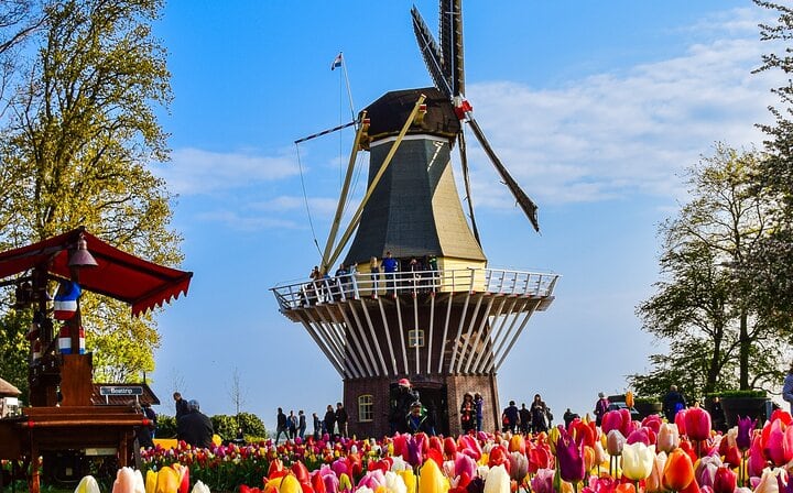 The famous windmill of the Keukenhof park