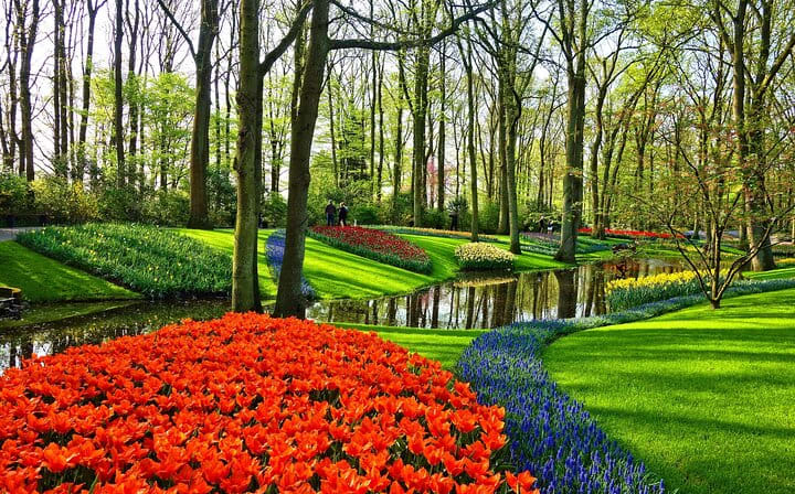 Keukenhof park