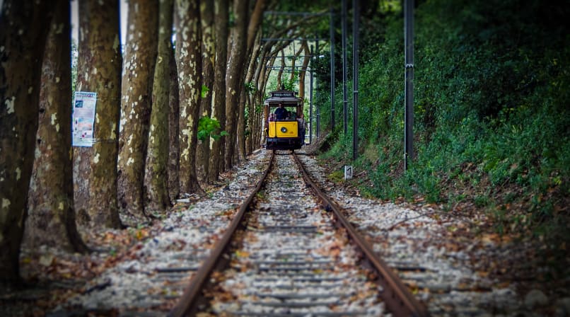 The rippling and dewy Sintra