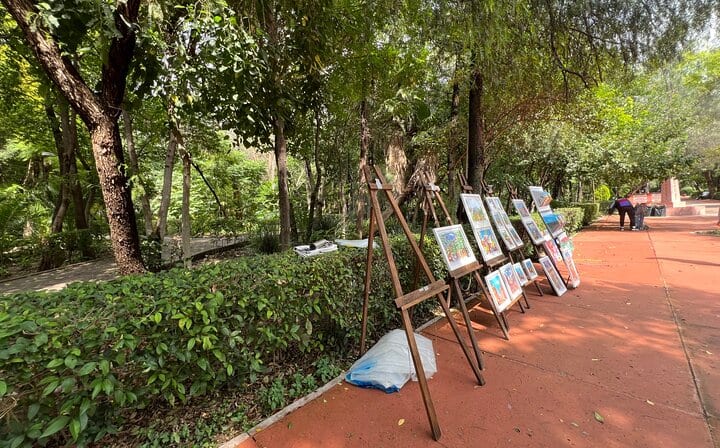 Streets and gardens that function as outdoor galleries