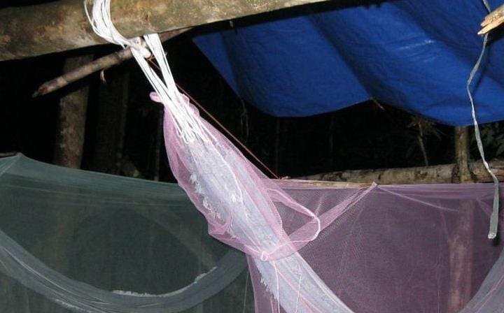 Camping in the Jungle