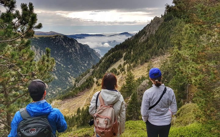 Admire the spectacular views and wildlife in the Pyrenees.