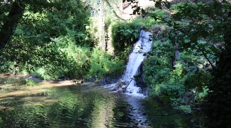 Close view of waterfall flowing into a calm green pool surrounded by trees