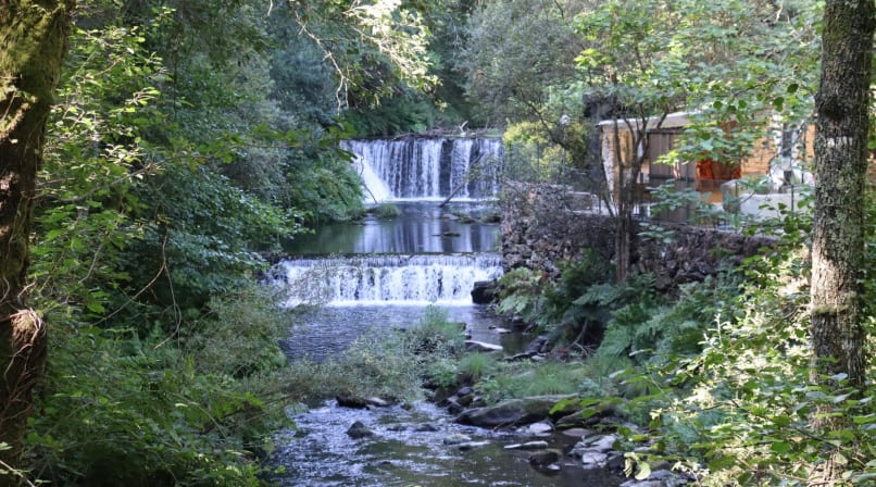 Wide view of waterfall and river surrounded by dense green forest