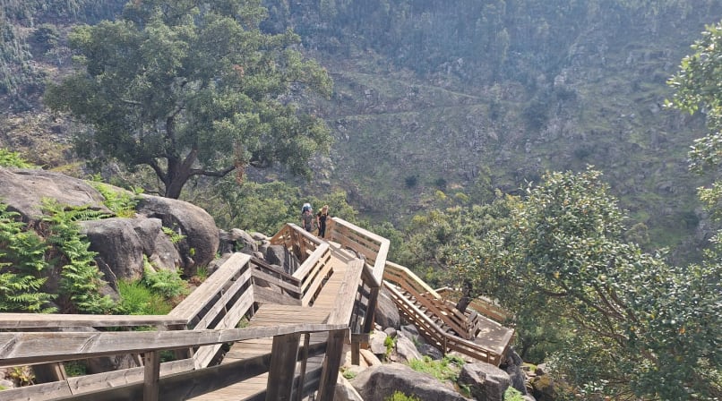 Wooden stairs of the Paiva Walkways winding down through rocky landscape and trees in Arouca.