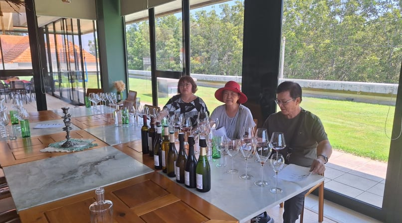 Experiencing a guided tasting with local wines.
