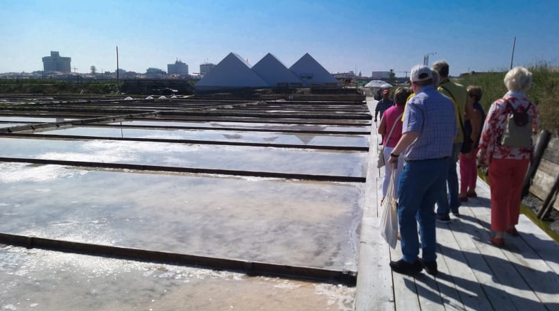 Guided visitors walking beside reflective Aveiro salt pans and wooden paths