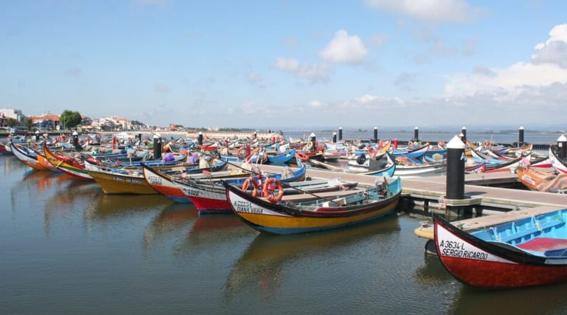 Colorful traditional moliceiro boats docked in Aveiro marina near lagoon and town