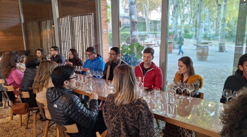 Group wine tasting at Quinta da Pacheca with guests seated around glasses beside large windows