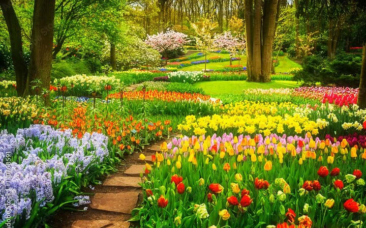 Gardens in the Keukenhof park