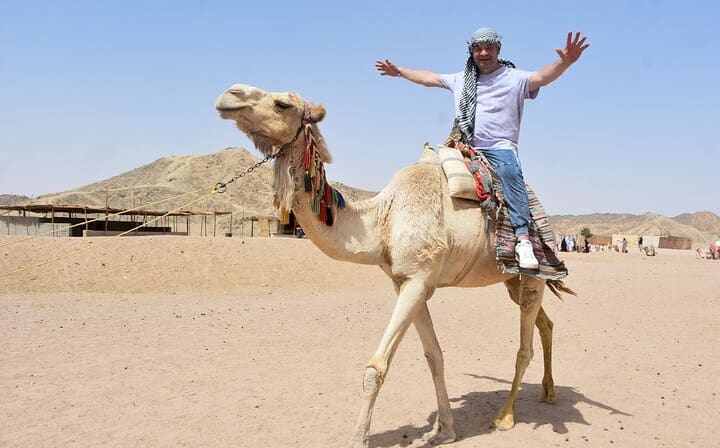 Safari, Hurghada