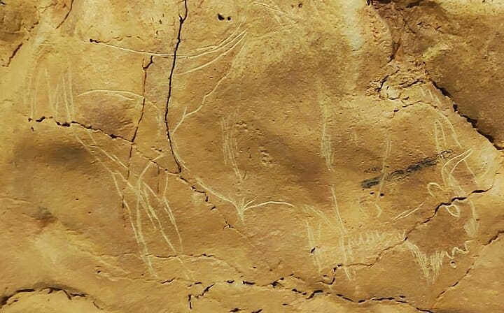Altamira Neocave