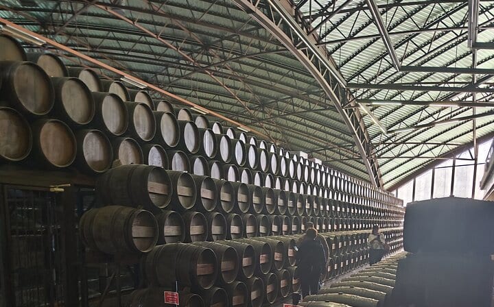 Adega Quinta da Bacalhoa - Muscatel Wine Barrels