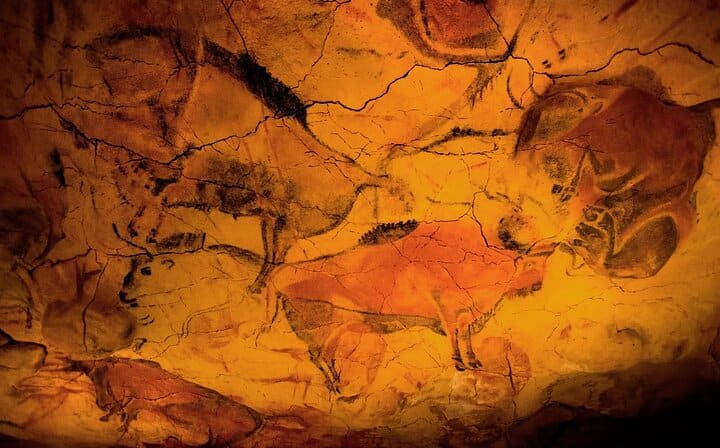 Neocave -Altamira Museum