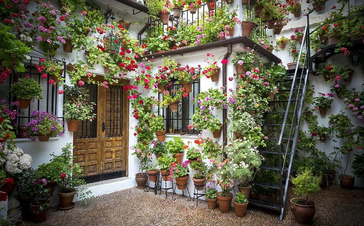 Cordoba