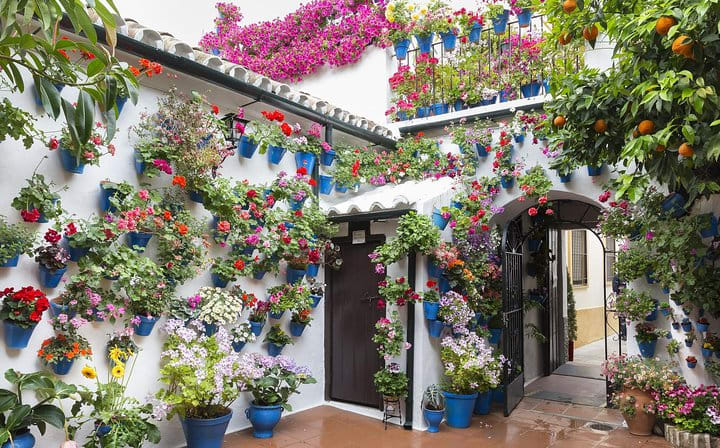CORDOBA