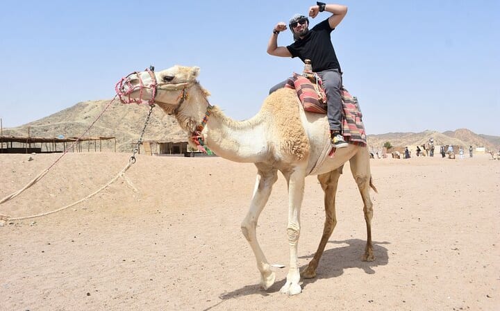Safari Hurghada