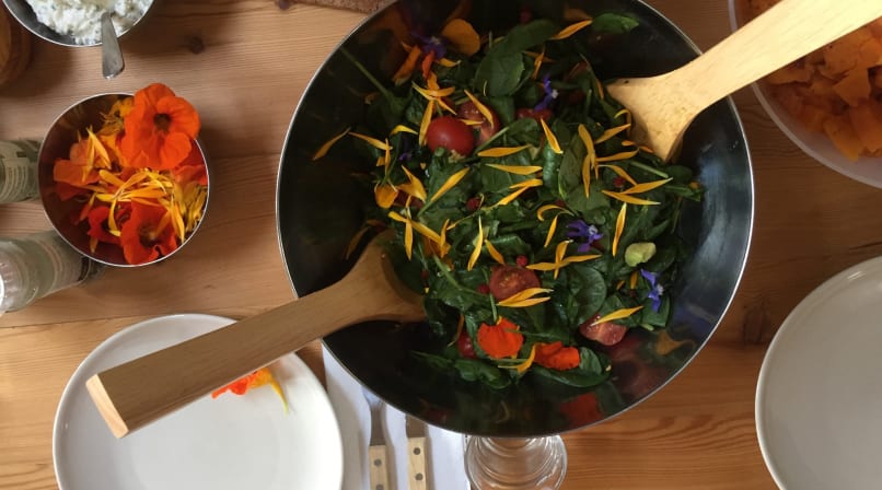 Lots of fresh, healthy and organic meals (vegetarian & vegan options avalaible)
