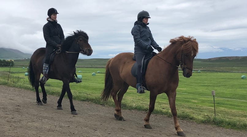 Are you in for horseback riding?