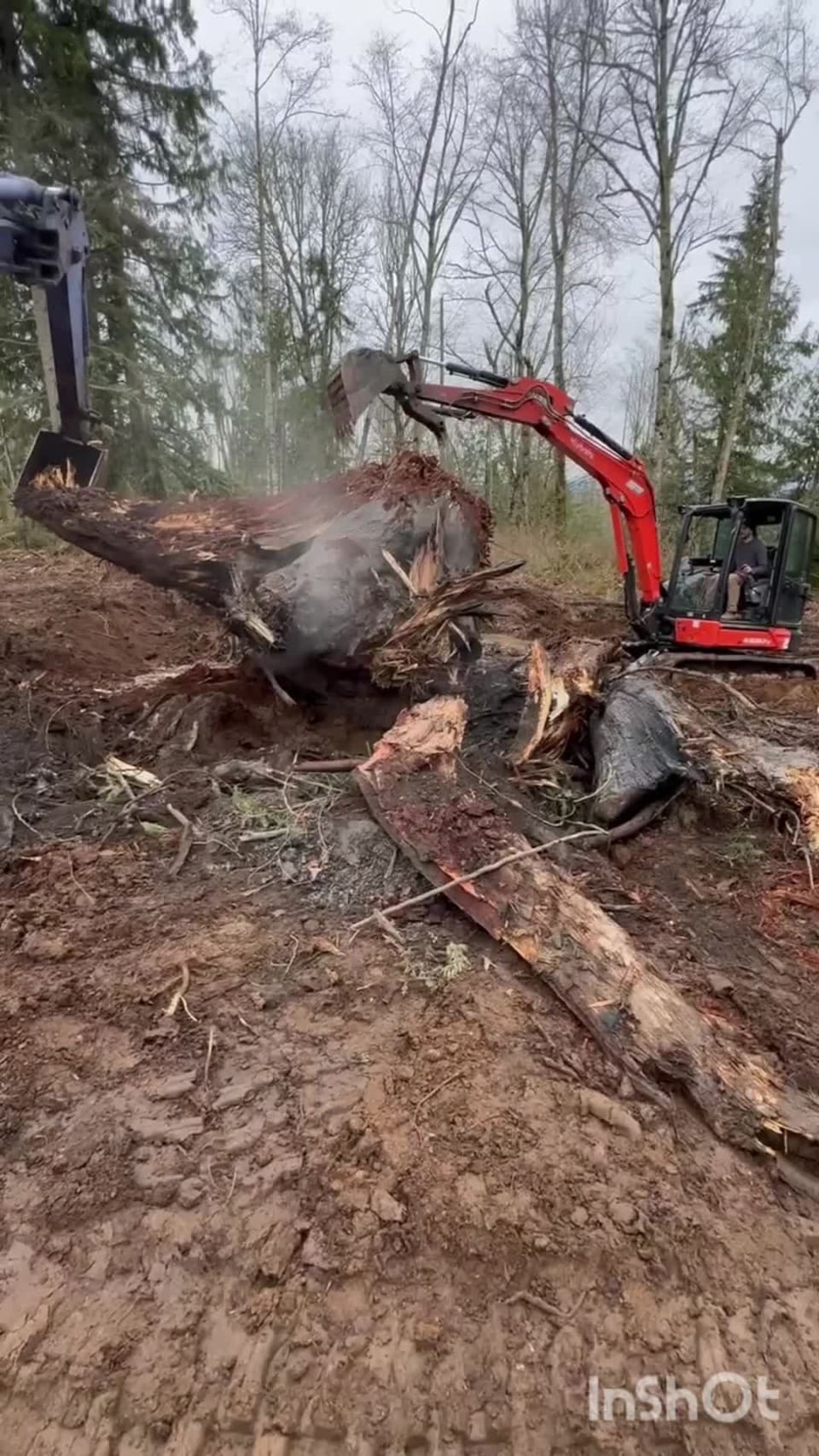 Part 5 of 8: We weren't trying to remove it yet.