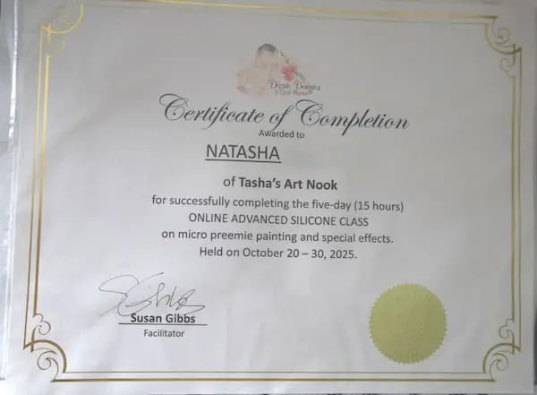 Advanced silicone painting training certificate awarded to Natasha