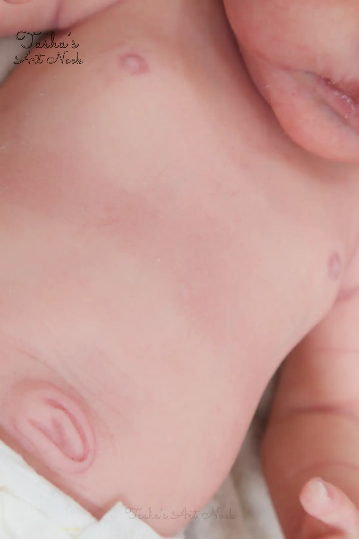 Pip full-body silicone reborn doll, photograph 28