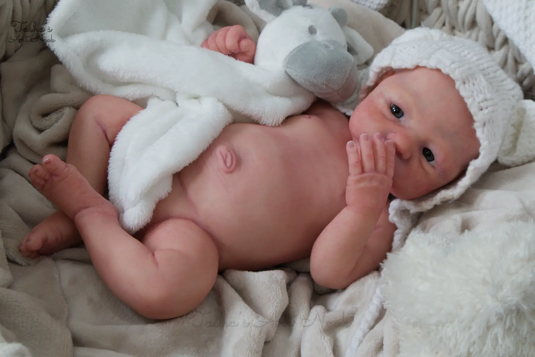 Pip full-body silicone reborn doll, photograph 50