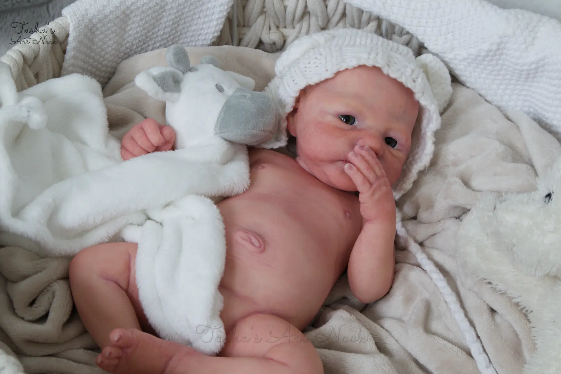 Pip full-body silicone reborn doll, photograph 49