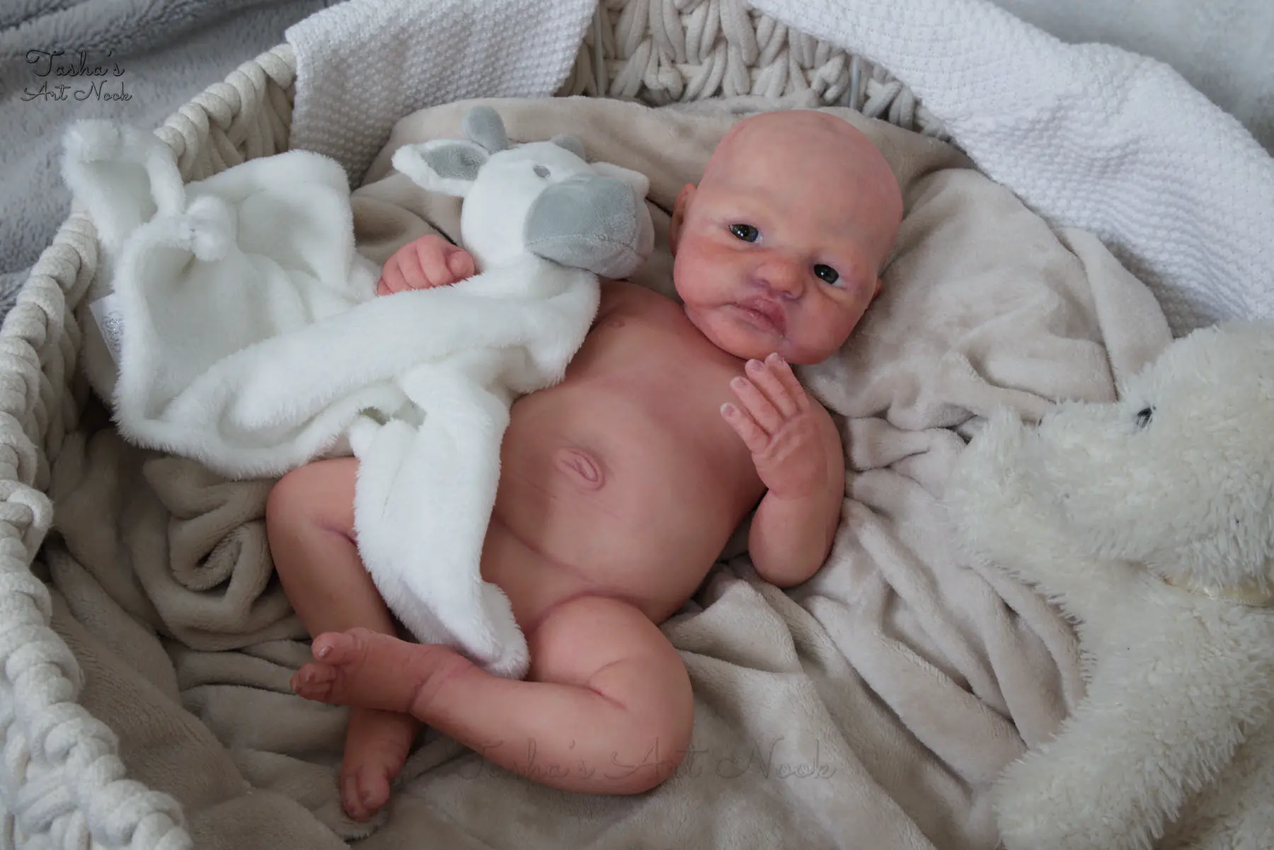 Pip full-body silicone reborn doll, photograph 47