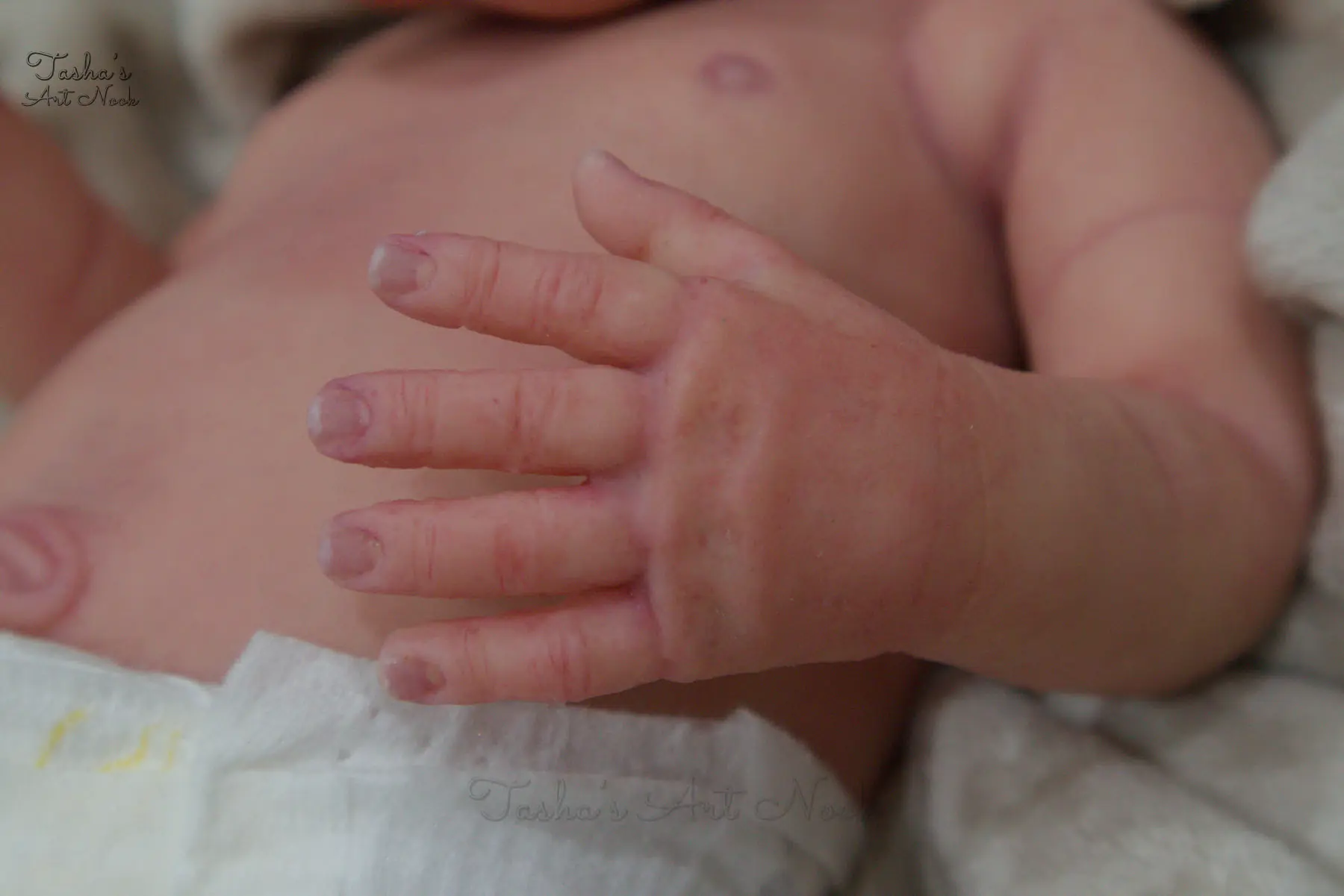 Pip full-body silicone reborn doll, photograph 66
