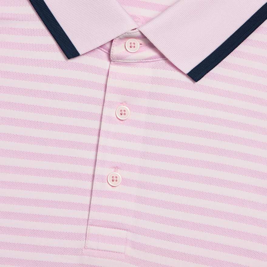 PERFORATED STRIPE JERSEY POLO in Blush image number 5