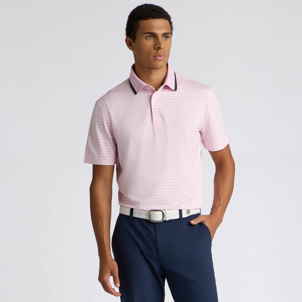 Alternative image of PERFORATED STRIPE JERSEY POLO in Blush