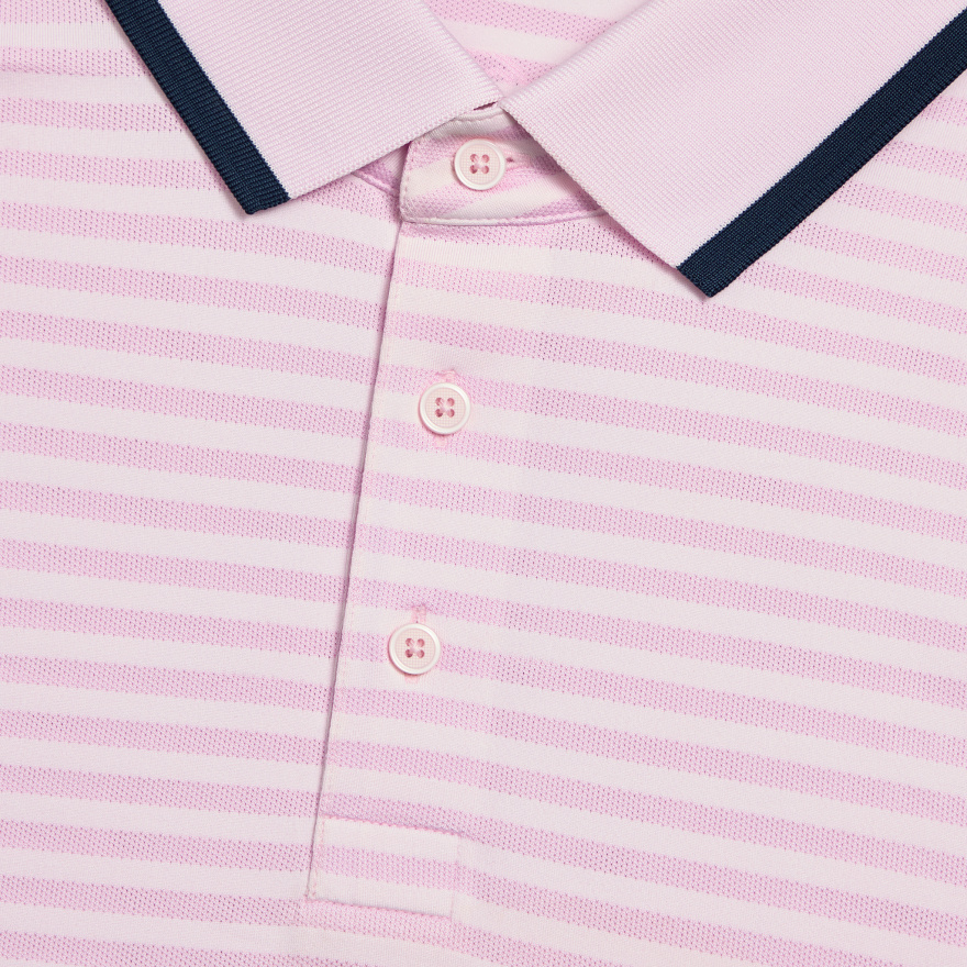 PERFORATED STRIPE JERSEY POLO in Blush - Alternate Image 4