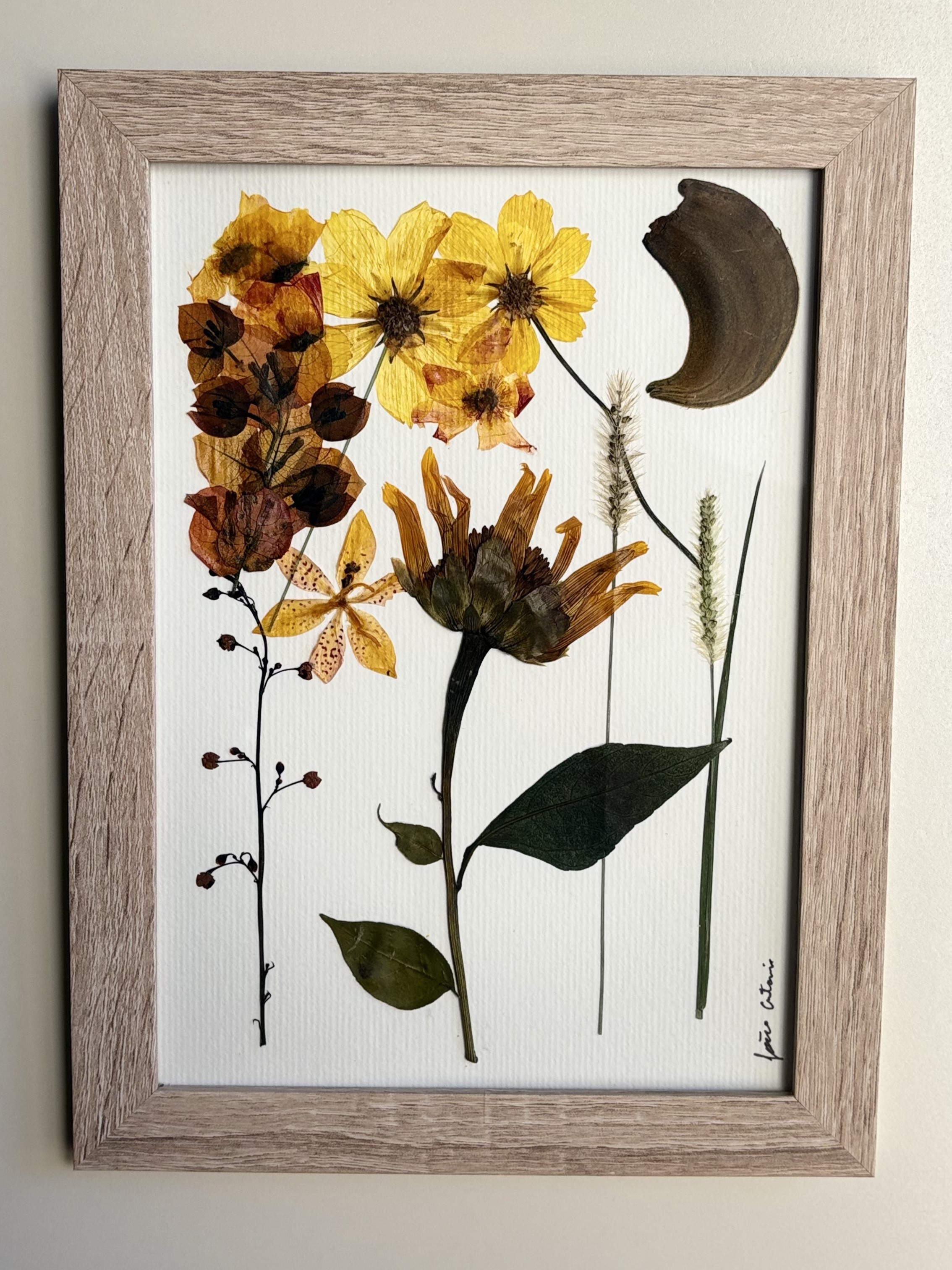 Flores amarelas